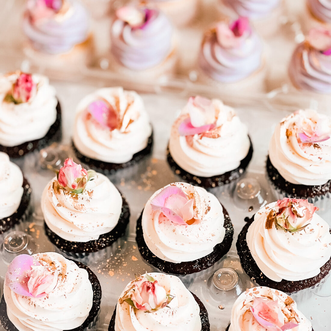 Petals & LuX Cupcakes Collection - CocoaBerry Cake Co.